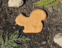 Pumpkin Squash Squirrel Dog Treats