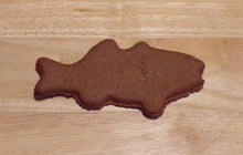 Trail Mix Trout Dog Treats