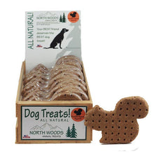 Pumpkin Squash Squirrel Dog Treats